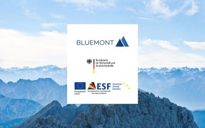BUND FÖRDERT BERATUNG VON KMUs IN DER CORONA KRISE. BLUEMONT ERHÄLT ZERTIFIZIERUNG.