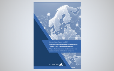Bluemont Strategy Insights: European Synergy: Turning Administrative “Chaos” Into a Strategic Advantage