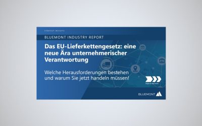Bluemont Strategy Insights: Das EU-Lieferkettengesetz: eine neue Ära unternehmerischer Verantwortung