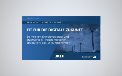 Bluemont Strategy Insights: Stadtwerke. Fit für die Zukunft.